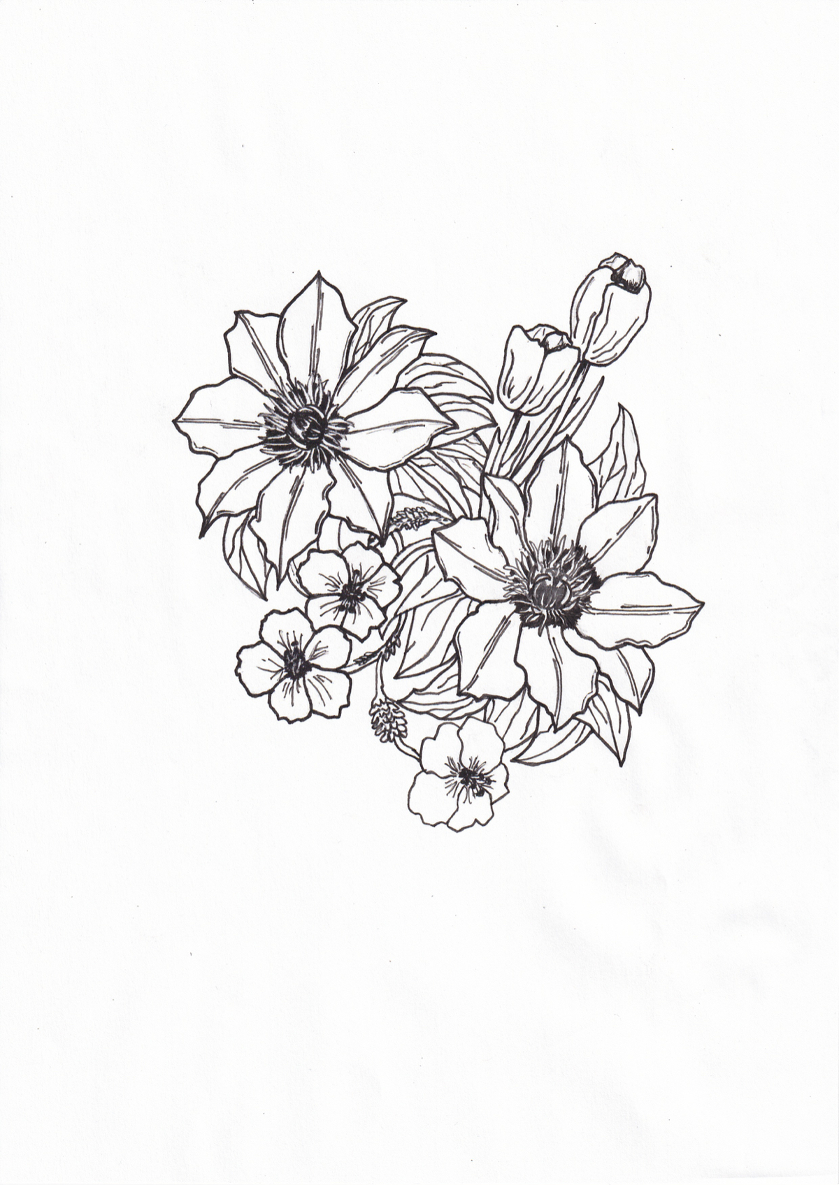 クレマチス 髙橋蓮