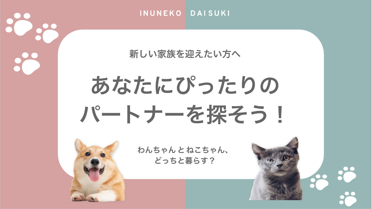 スライド❶