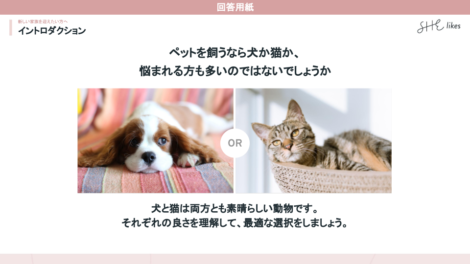 スライド❷