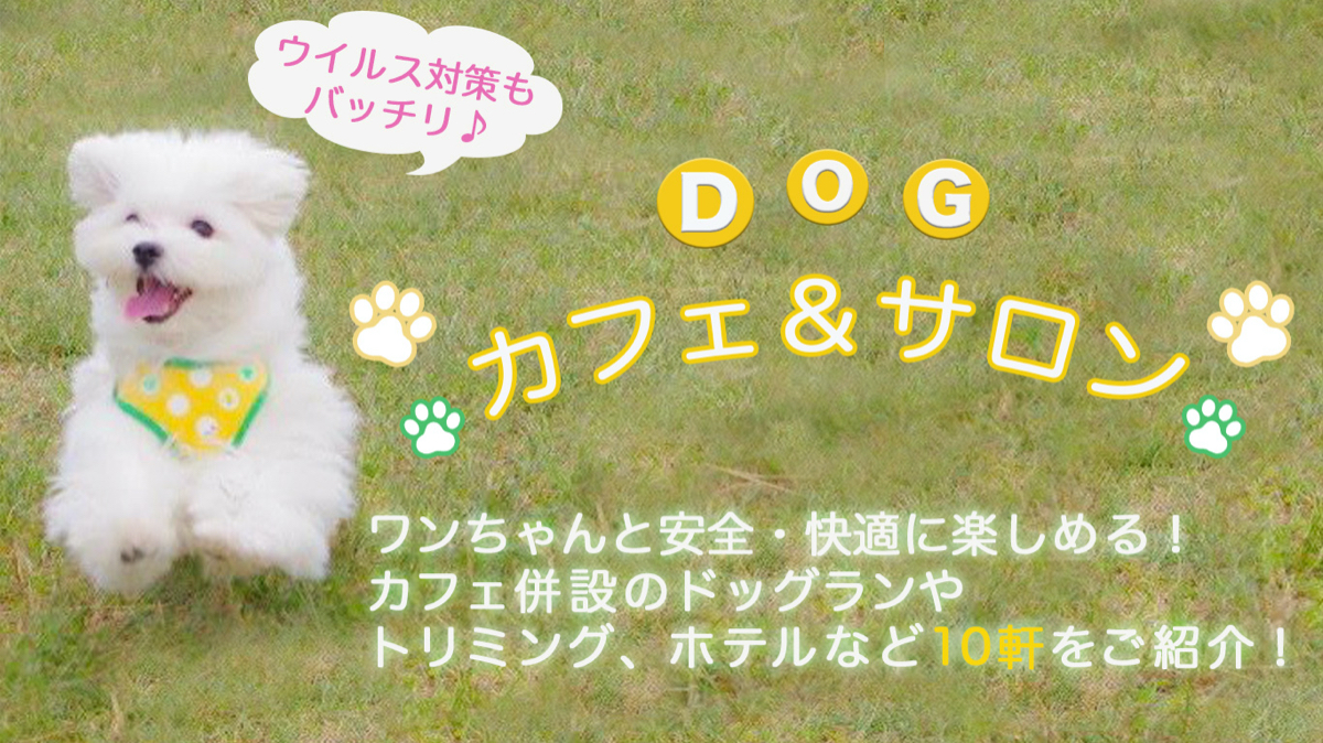 ウイルス対策OK！犬と遊べる施設の紹介 ÜSay